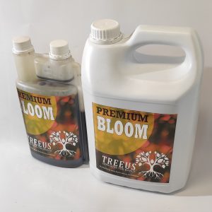 Premium Bloom